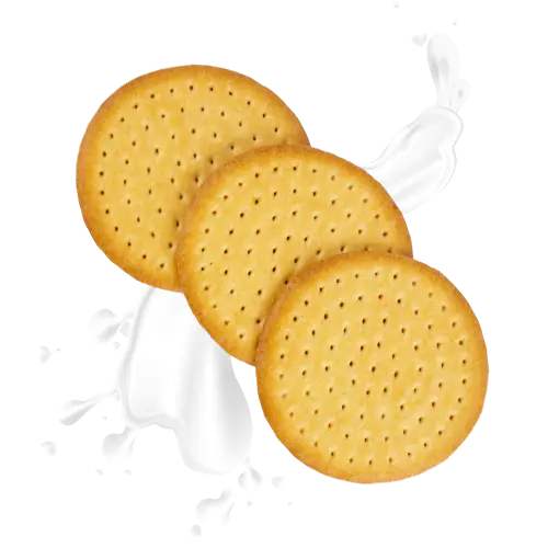 Biskuit Susu